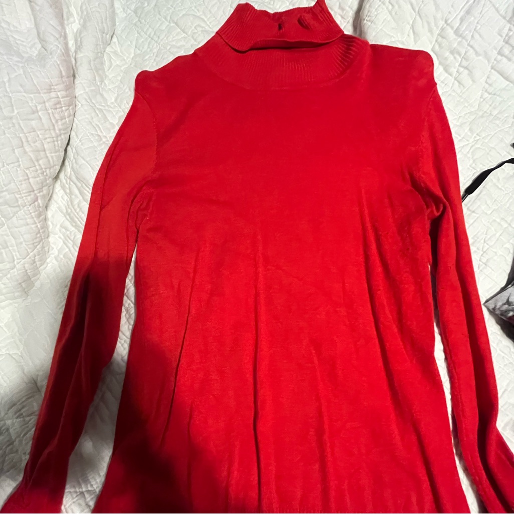 Gently Used- The Limited Turtleneck